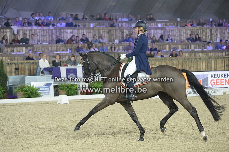 JM18 -ZAT- CDI4* Intermediate Freestyle