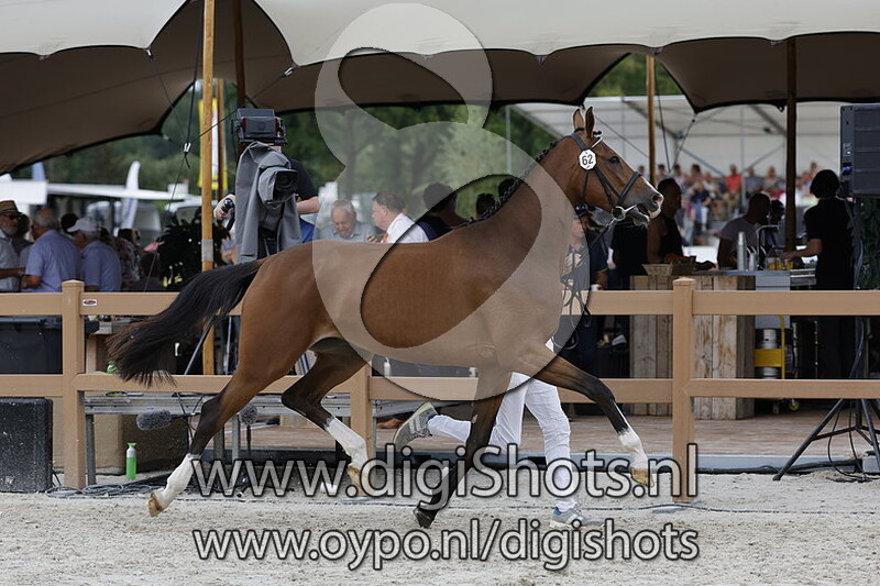 Pielottie v. Grandorado TN