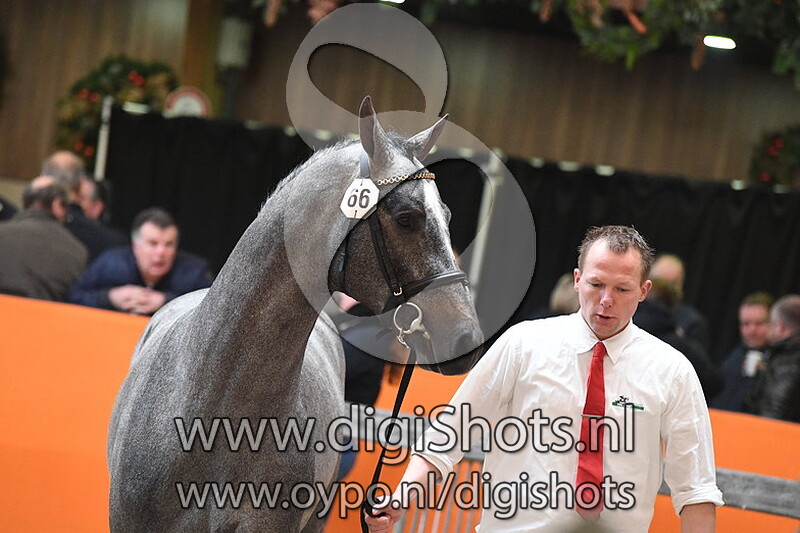 Mr Cornet VG v. Cornet Obolensky