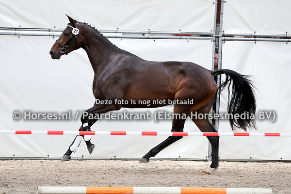 27 Lissy S (Governor) (2)