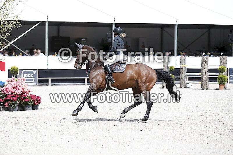 Dominique Nijhof Roelofsen