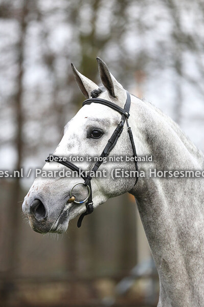 KWPN najaarsonderzoek 21-22 Stand en hoofdfoto's