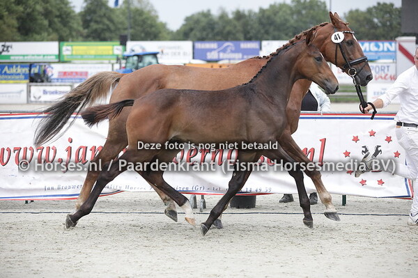 41 Pay Attention TK (Fontaine TN x Zomer Fee v. Cabochon)