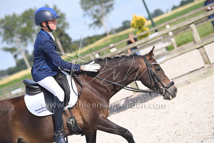 Klasse M pony's cat. DE