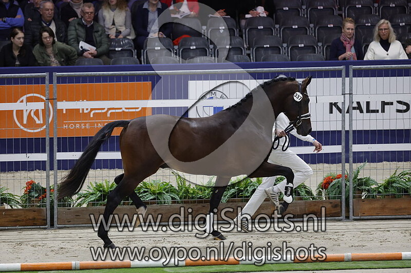 Pink Floyd v. Finest Selection - 337