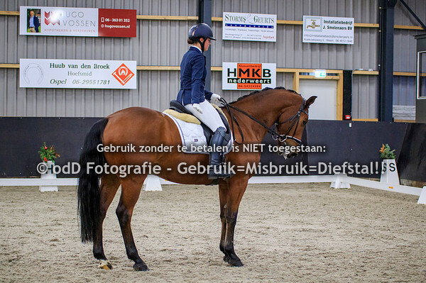 Dressuur PSV Nederweert Paarden M1 M2 12-12-21