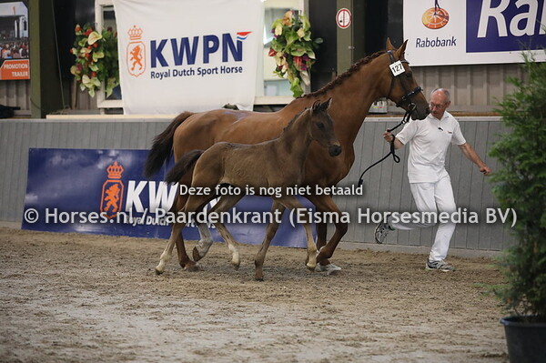 127 Oliver's Law (Four Legend KS x Goldy v. Charmeur)  (1)