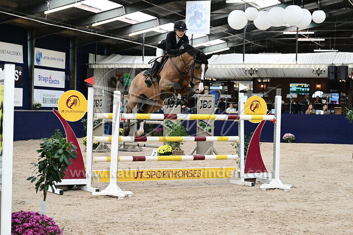 Amber Fijen - Mr. King