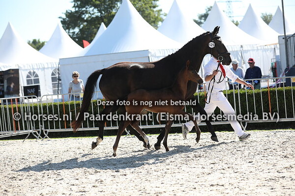 125 Odine (Hitmaker x Idine v. Apache) (1)