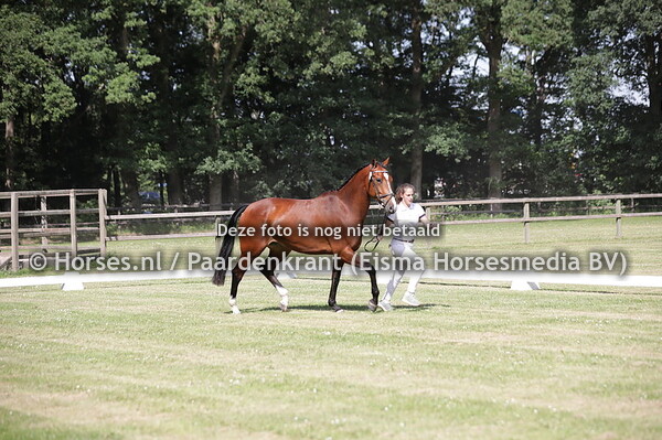 6 Misty (Hardwell x Zoe v. Numero Uno)