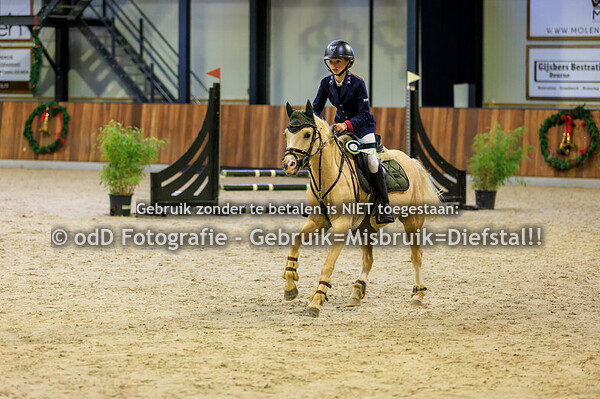 Green Valley Kerst Trophy Pony's 50cm 22-12-24