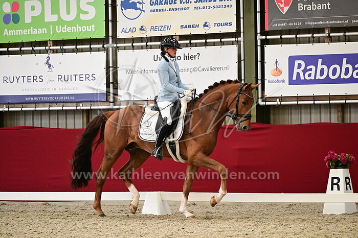 Robbin Kleermans - Romano