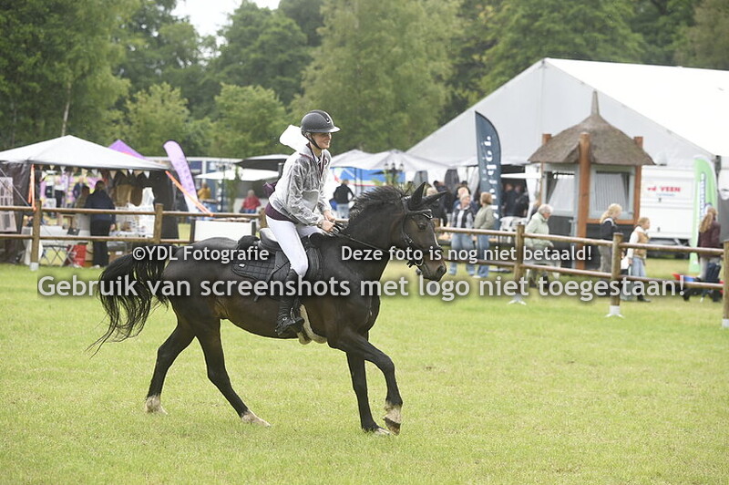 7-     100/110/120cm CDE