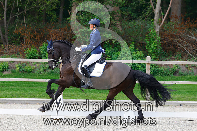 Louke fan de Broekfinne