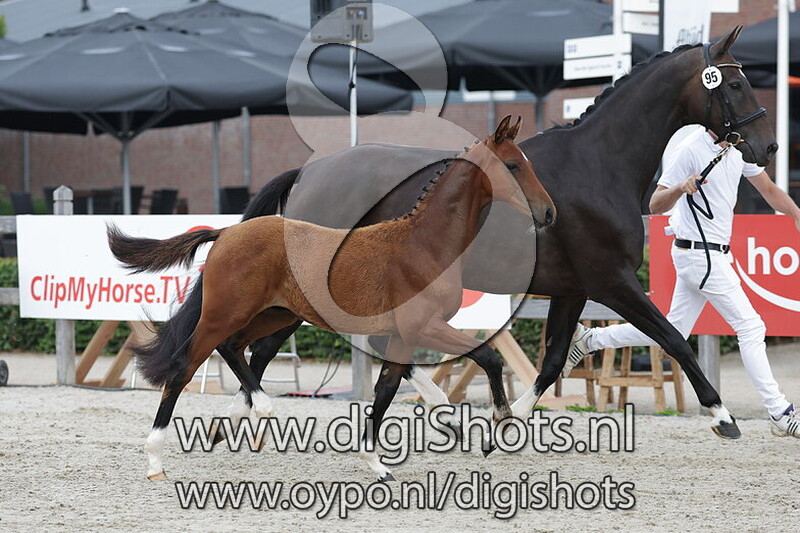 Valentijn v. Be my Dancer