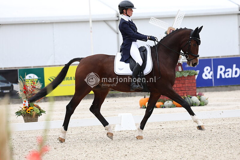 2000-BOEKELO_DRESSAGE_10-10-2025