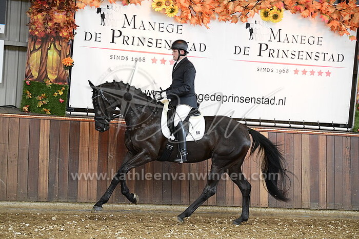 Remco Weerheijm - O'lilly