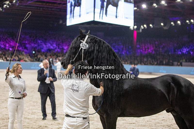 Hengstenkeuring 2024 Gosse 526