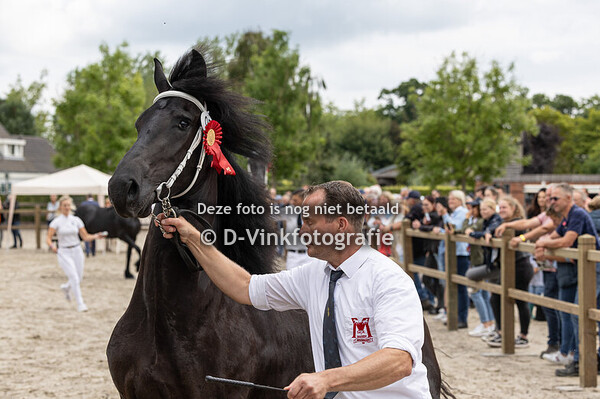 95. Vlemke drontje p