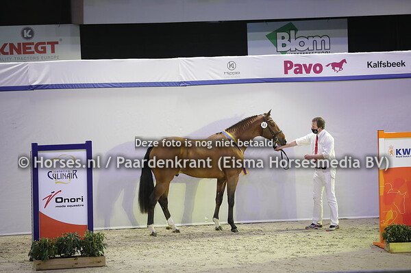 83 Night Life VDL  (Erco van't Roosakker x Arezzo VDL)