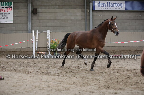 3 Manni Louise (High Shutterfly x Fanni Louise v. Unaniem