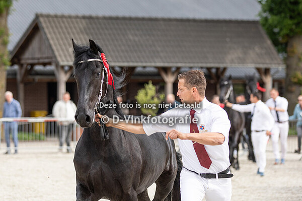 11. Tjerkje fan it Jaachpaad