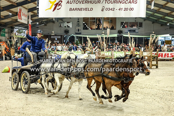 20241102 - Finale Vierspan Pony