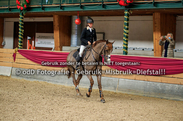 NY Jumping Warredal Finals 115cm 09-01-22