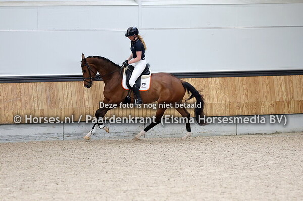 28 Samora (Hermes x Vamora v. Florestan I)