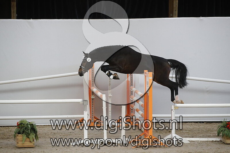 Marvano v. Don Diablo HX