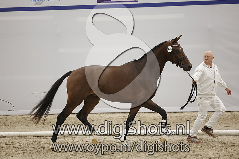 Pape Clement des Collines v. Jameson RS2 - 425