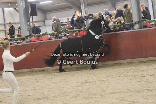 IJsselmuiden oefenavond hengsten 2025