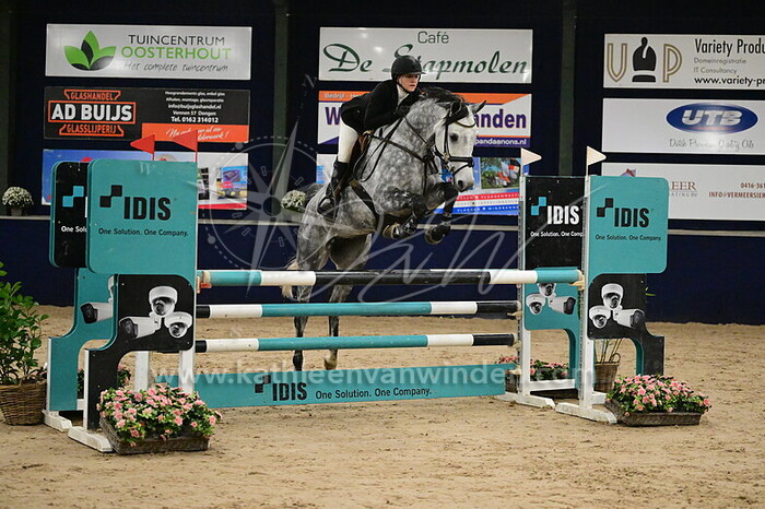 Amber Fijen - Pynnock