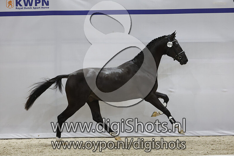 Oliver Bloemendael v. Ferguson