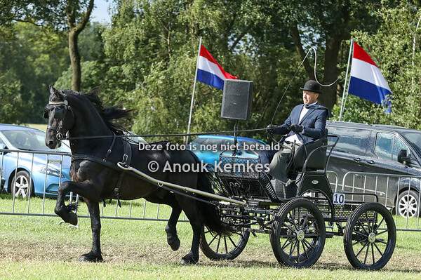 Friezen oefenrubriek jonge paarden
