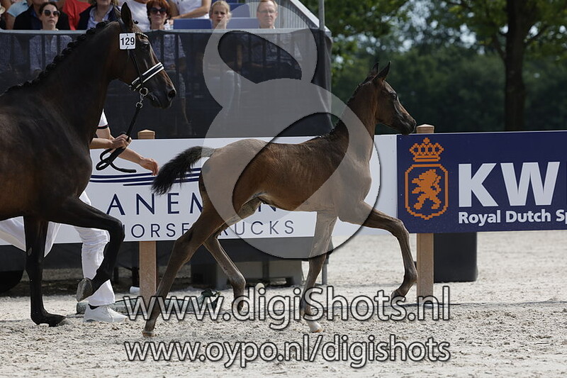 Tempranilla MK v. Le Formidable