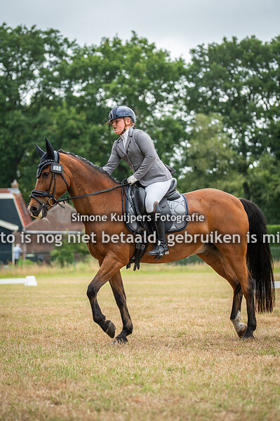 Ring 2&3 afdruk/download zonder logo