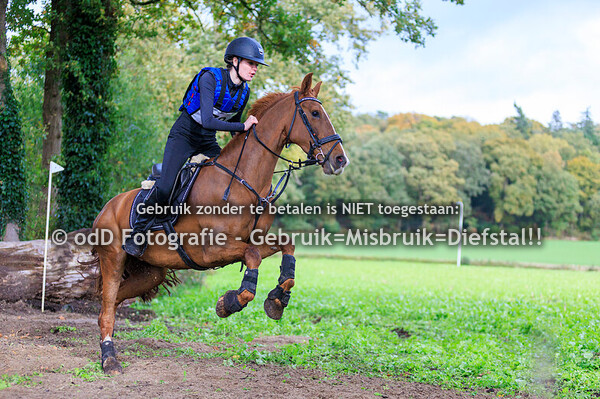 Eventing Barchem paard B pony L 26-10-25