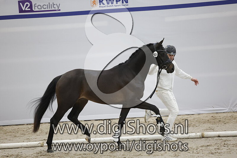 Jovianson v. Jovian - 431