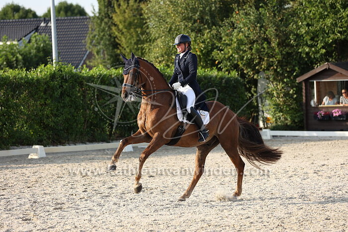 Ineke den Drijver - Hugo DH