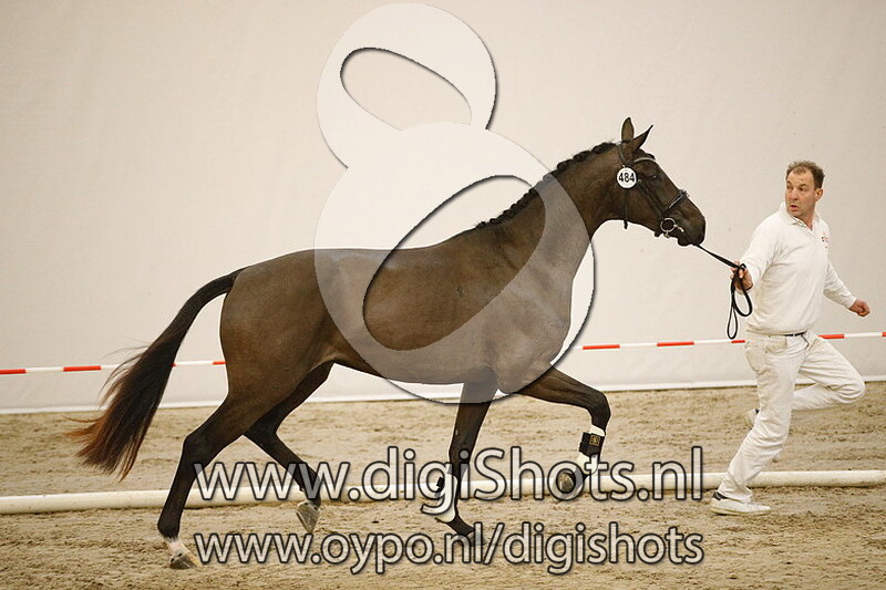 484 Lion Heart v. Grand Galaxy Win