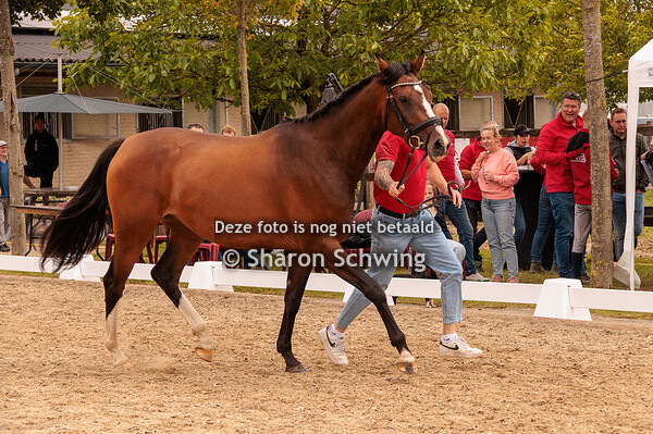vrouwelijke driejarigen springen
