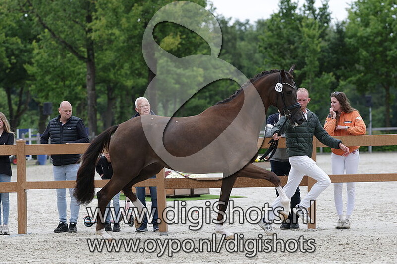 San Giulietta ST v. Las Vegas