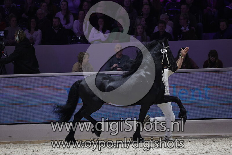 Nane 492 v. Wimer 461