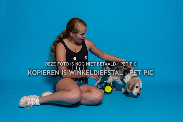 004 hond