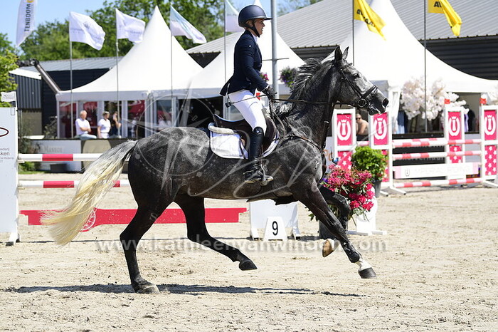 Franka Louw - Moonlight