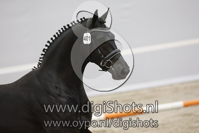 Rico Norel v. Iron - 401