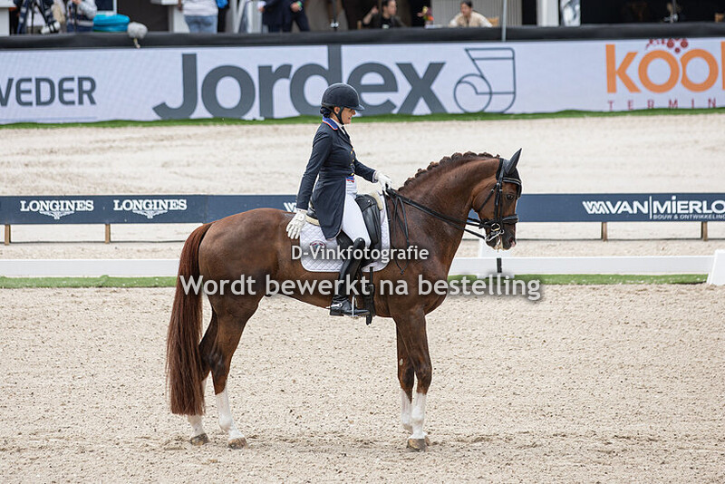 Ashley Holzer - Hansel