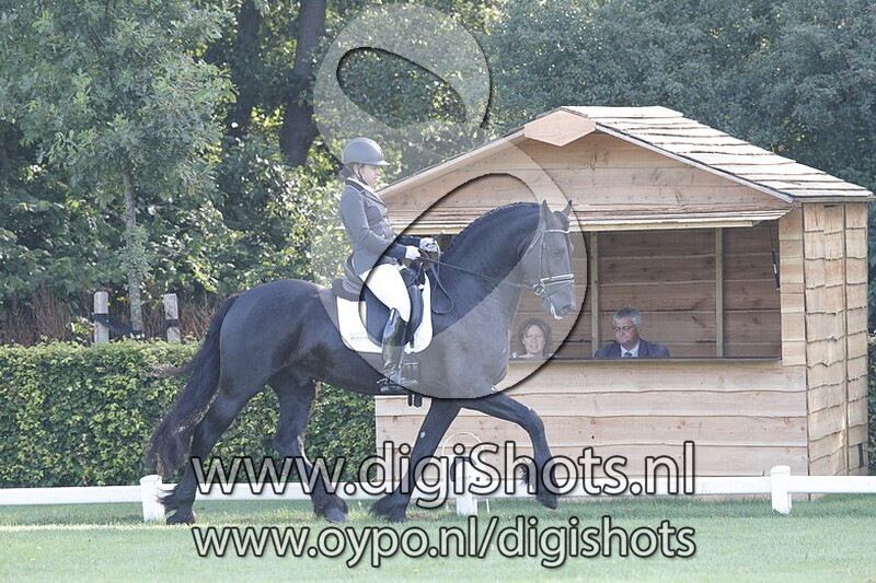 William fan Stal Sibma