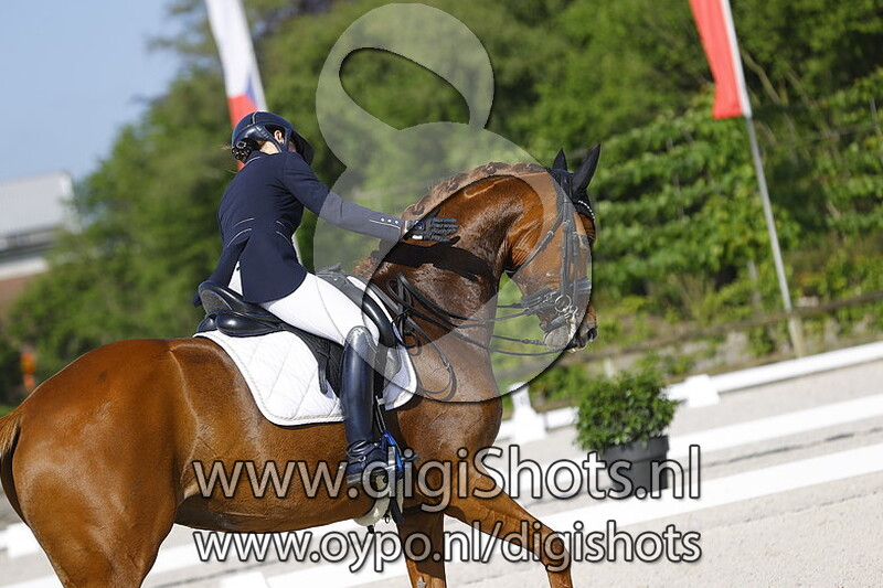 VRDS Neas Donna Qizara